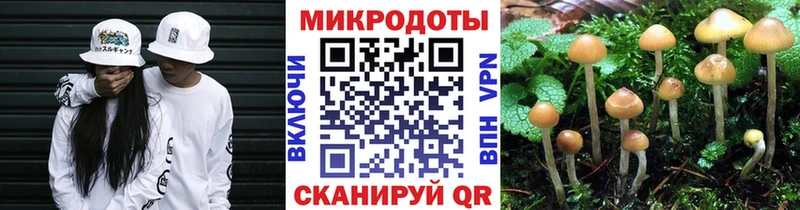 Псилоцибиновые грибы прущие грибы  Хадыженск 
